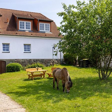 Kröpelin Ferienwohnung "Flori'S Ponyhof" מראה חיצוני תמונה