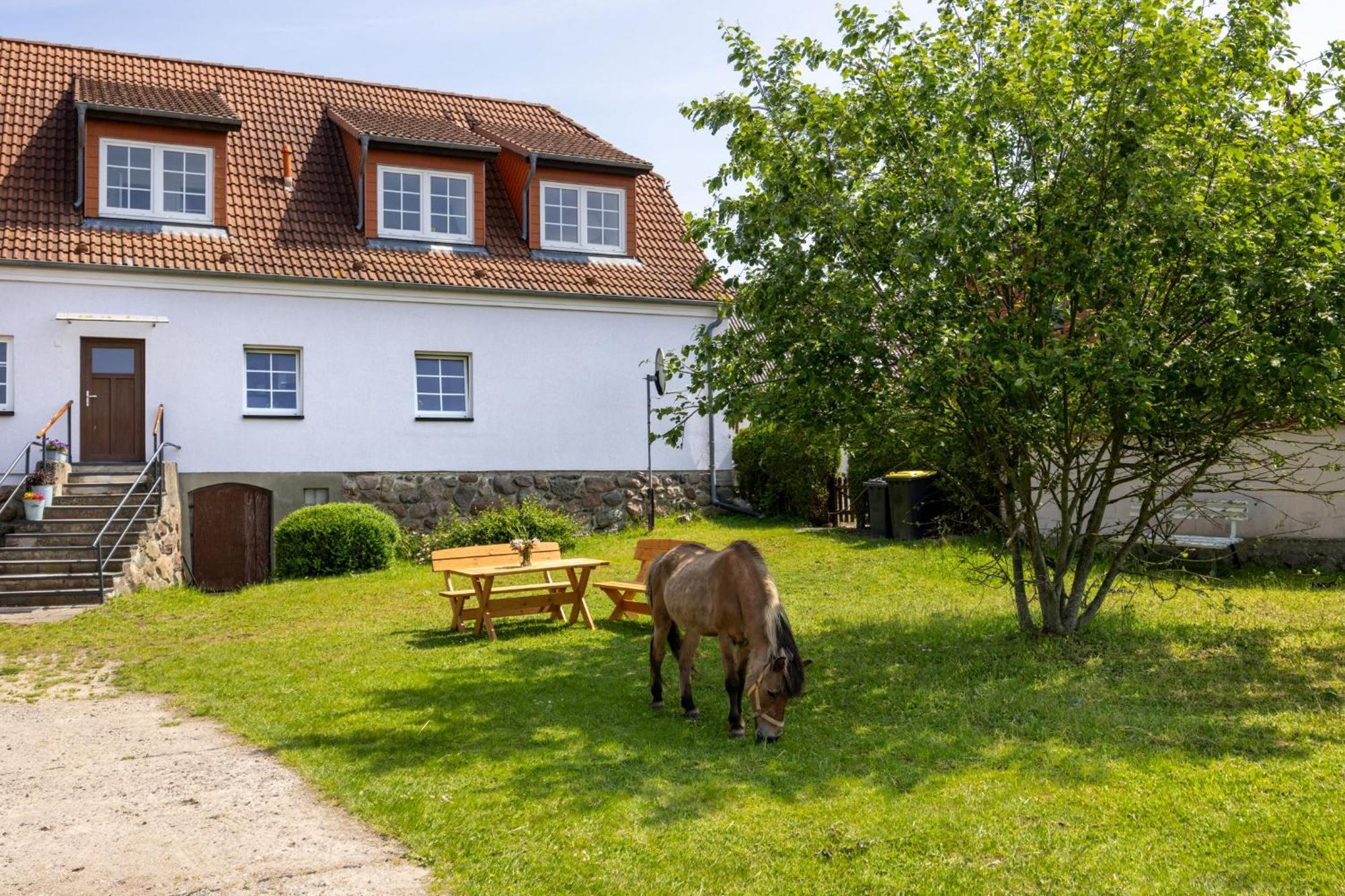 Kröpelin Ferienwohnung "Flori'S Ponyhof" מראה חיצוני תמונה